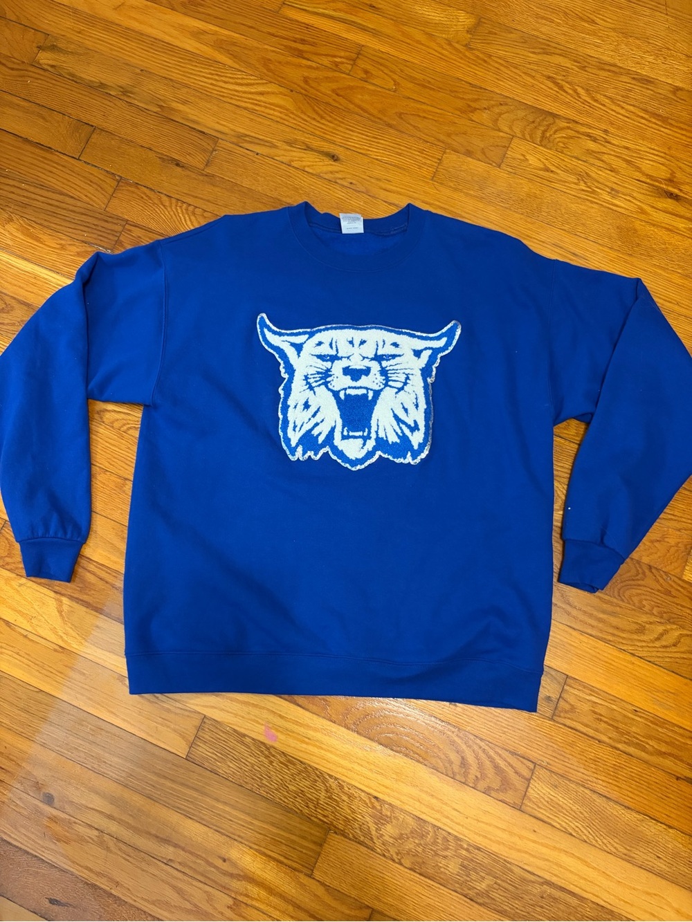 Hanes Royal Blue Crewneck Sweatshirt with White Wildcat Graphic UK